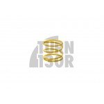 Tuning Kit Forge Valve Small Spring