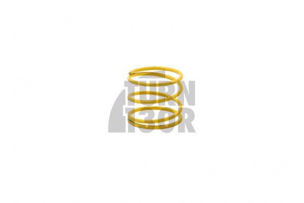 Tuning Kit Forge Valve Small Spring
