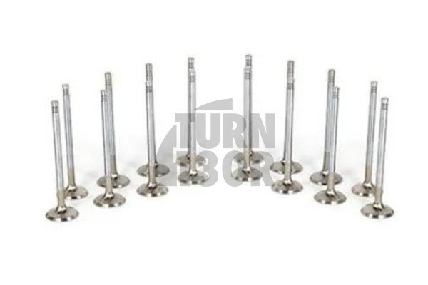 Mitsubishi Lancer Evo 7 / Evo 8 / Evo 9 Ferrea Competition Engine Valves x16 Mitsubishi Lancer Evo 7 / Evo 8 / Evo 9 Ferrea Competition Engine Valves x16