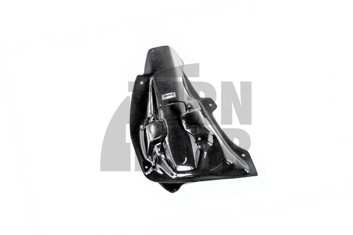 Gruppe M Carbon Fiber Intake System for Alpine A110 1.8 TCE Gruppe M Carbon Fiber Intake System for Alpine A110 1.8 TCE