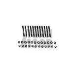 ARP Main Stud Kit for Audi RS3 8.5V - RS3 8Y - TTRS 8S and RSQ3 ARP Main Stud Kit for Audi RS3 8.5V - RS3 8Y - TTRS 8S and RSQ3