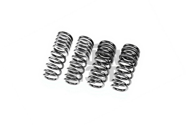 Eibach Pro-Kit Lowering Springs for BMW M5 G99 (Touring) -25mm Eibach Pro-Kit Lowering Springs for BMW M5 G99 (Touring) -25mm