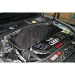 Gruppe M Carbon Fiber Intake System for Audi RS6 C5