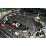 Gruppe M Carbon Fiber Intake System for Audi RS6 C5