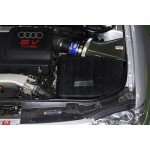 Gruppe M Carbon Fiber Intake System for Audi S3 8L Gruppe M Carbon Fiber Intake System for Audi S3 8L