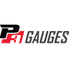 P3 Gauges