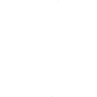 EUROPEAN COPMANY