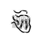 Forge Silicone Coolant Hose Kit Honda Civic Type R FK8