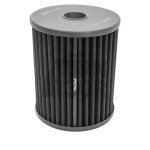 Ramair Panel Air Filter for Audi RS6 C7 and RS7 C7