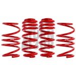 APRLowering Springs Golf 8 R