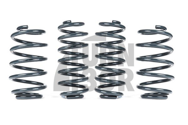 Racingline Sport Springs Cupra Formentor 2.0 TSI 