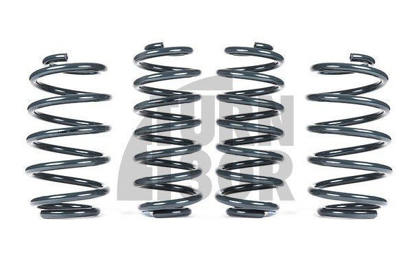 Racingline -25mm Sport Springs UP GTI 