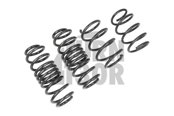 Racingline -20mm Sport Springs Golf 8 R 