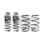 Racingline -30mm Sport Springs Polo AW GTI