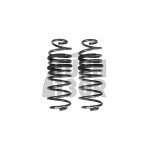 Racingline -30mm Sport Springs Polo AW GTI