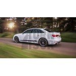 Door Decals Silver or Black Racingline