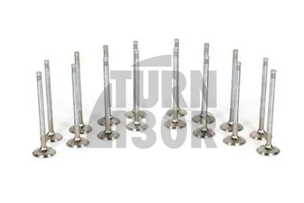 Golf 3 VR6 Ferrea Competition Plus Engine Valves x12