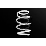 Golf 7 R Leyo Sport Springs