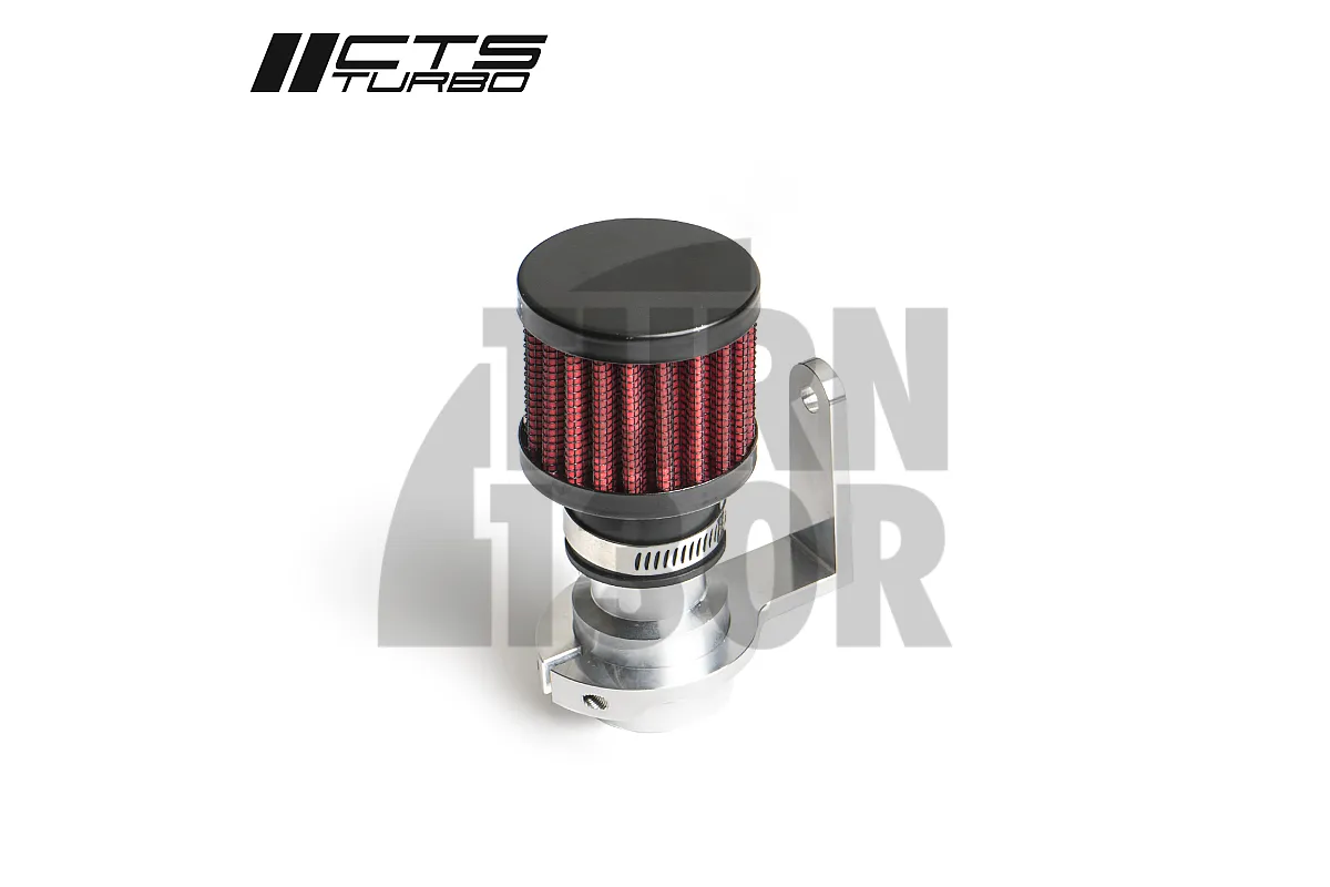  Intake for Audi S5 and Audi S4 B8 / B8.5 3.0 TFSI CTS Turbo