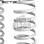 CTS Turbo  -25mm Sport Springs Golf 8 GTI 