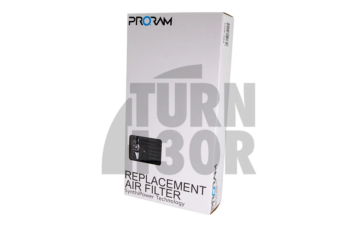 Ramair Proram Panel Air Filters for Mercedes C63 AMG W205