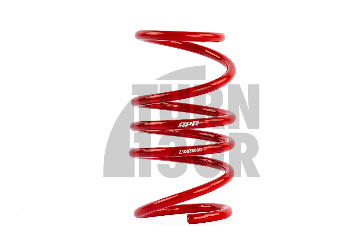 APRLowering Springs Golf 8 R