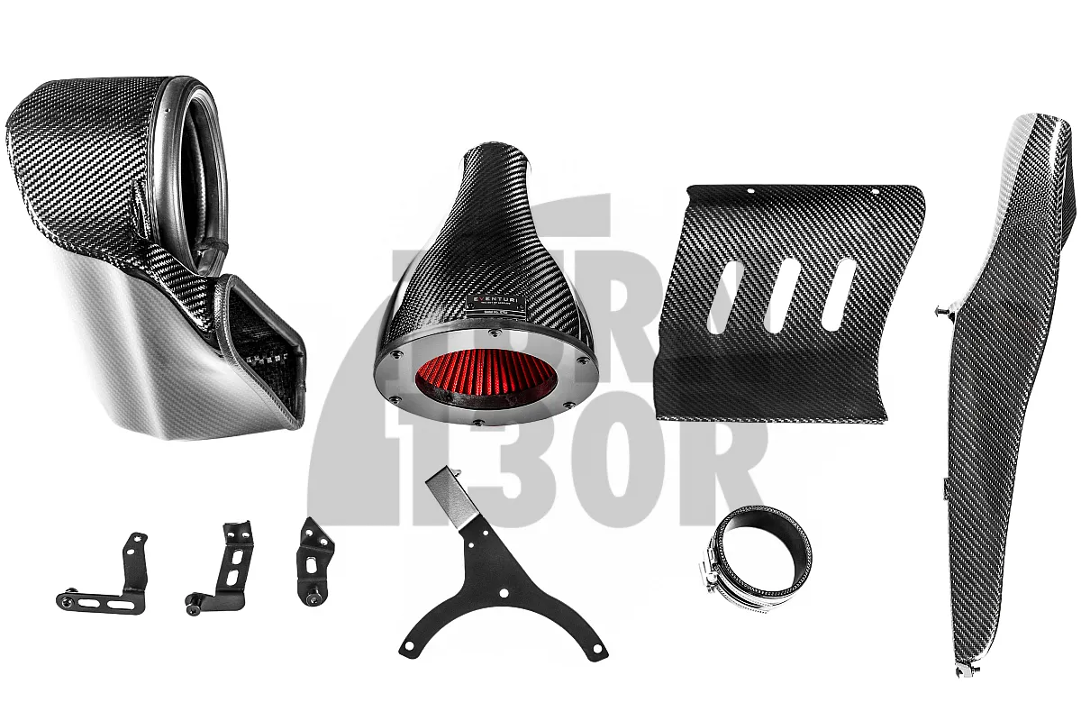 Eventuri Carbon Fiber Intake System for Audi RS4 / RS5 B9