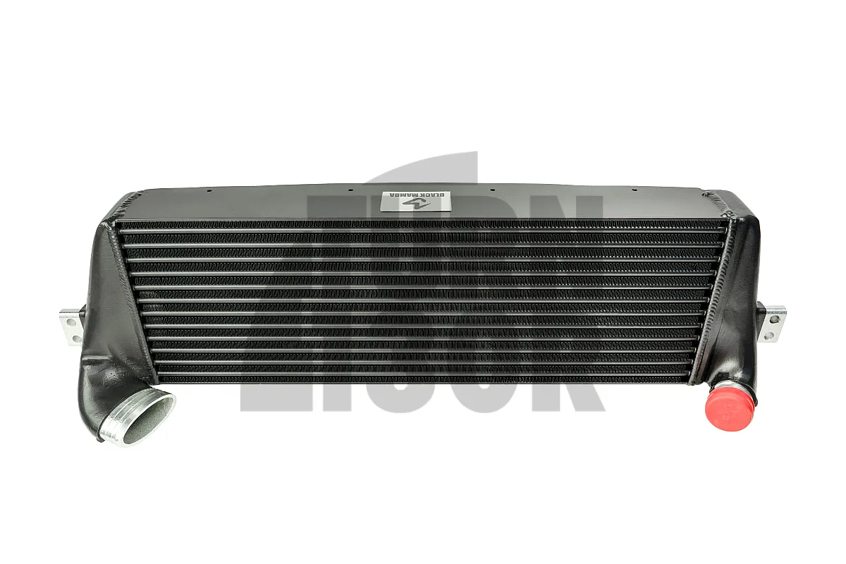 Black Mamba ABARTH 595 / 695 Intercooler Kit