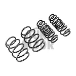 Racingline Sport Springs Golf 7 R 