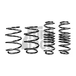 Racingline Sport Springs Golf 7 R 