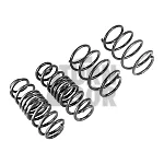 Racingline Sport Springs Golf 7 R SW / Leon 3 Cupra ST / Octavia VRS SW 
