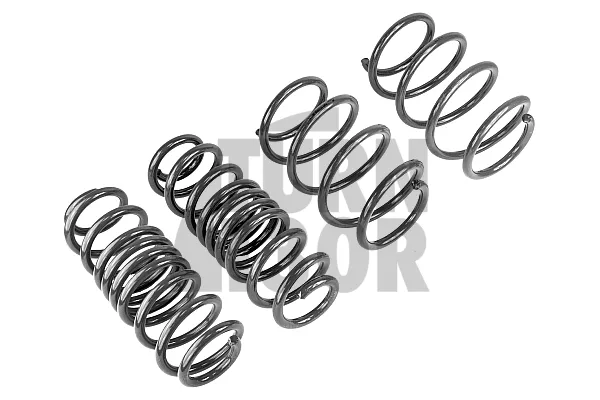 Racingline Sport Springs Golf 7 R SW / Leon 3 Cupra ST / Octavia VRS SW 