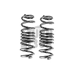 Racingline Sport Springs Golf 7 R SW / Leon 3 Cupra ST / Octavia VRS SW 