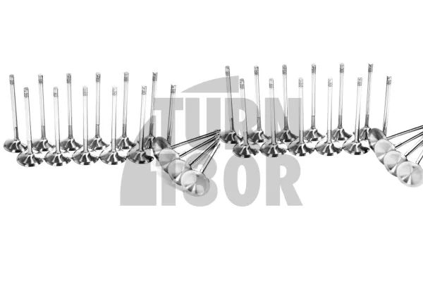 Ferrea Competition Plus Engine Valves x16 for Golf 7 GTI - Golf 7 R - S3 8V - Leon 3 Cupra 2.0 TSI EA888.3