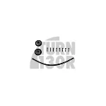 Racingline R600 Evo Cold Air Intake for Golf 8 GTI , Golf 8 R , Octavia VRS NX
