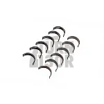 ACL Performance Main Bearings Audi RS3 8P - RS3 8V - TTRS MK2 