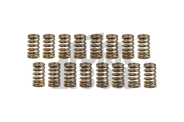 HKS Valve Springs Set for Mitsubishi Lancer Evo 8 - Evo 9