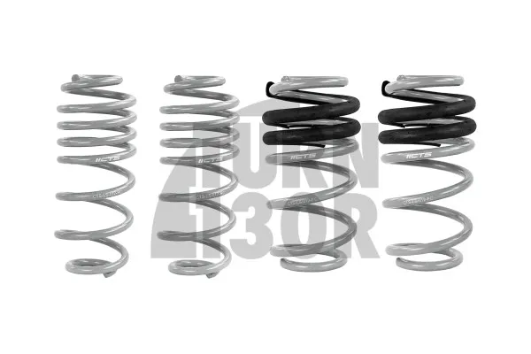 CTS Turbo -50mm Sport Springs for Audi A4 and S4 B8