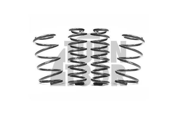 Racingline Sport Springs Audi S4 B9 