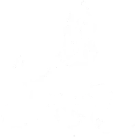 EUROPEAN COPMANY